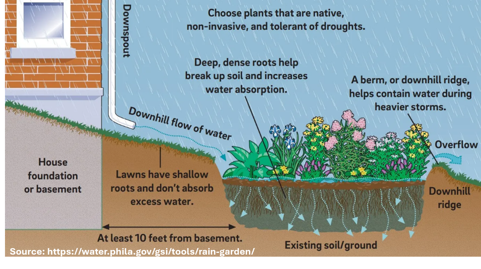 graph showing how a rain garden works